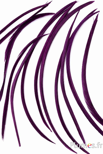 Gans - 10-17 cm - aubergine